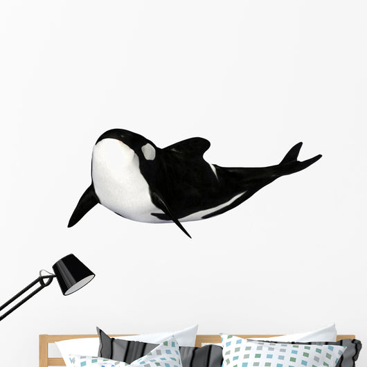 Illustration Orca White Wall Mural