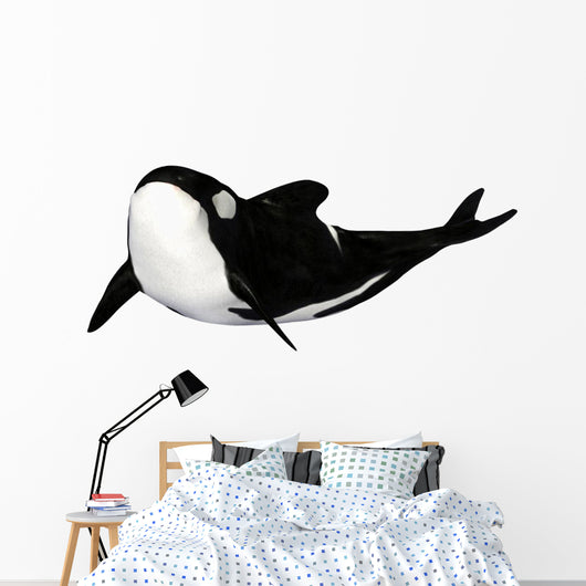 Illustration Orca White Wall Mural