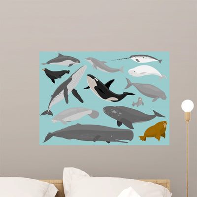 Marine Mammals shown on a wall