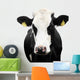 Funny Cow Isolated on a White Background Wall Decal