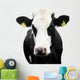 Funny Cow Isolated on a White Background Wall Decal