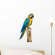 Beautyful Macaw Bird White