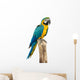 Beautyful Macaw Bird White