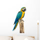 Beautyful Macaw Bird White