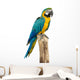 Beautyful Macaw Bird White