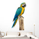 Beautyful Macaw Bird White