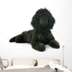 Puppy Poodle Wall Decal