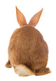 Light Brown Rabbit