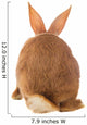 Light Brown Rabbit
