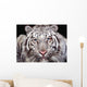 White Tiger Wall Mural
