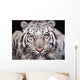 White Tiger Wall Mural