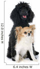 Puppy Poodle and Chihuahua Wall Decal