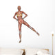 Female Anatomy Figure Wall Decal