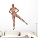 Female Anatomy Figure Wall Decal