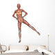 Female Anatomy Figure Wall Decal