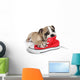 Cute Puppy with Red
