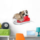 Cute Puppy with Red