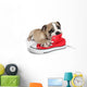 Cute Puppy with Red