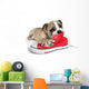 Cute Puppy with Red