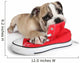 Cute Puppy with Red