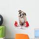 Cute Puppy with Red