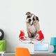 Cute Puppy with Red