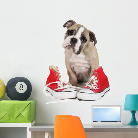 Cute Puppy with Red