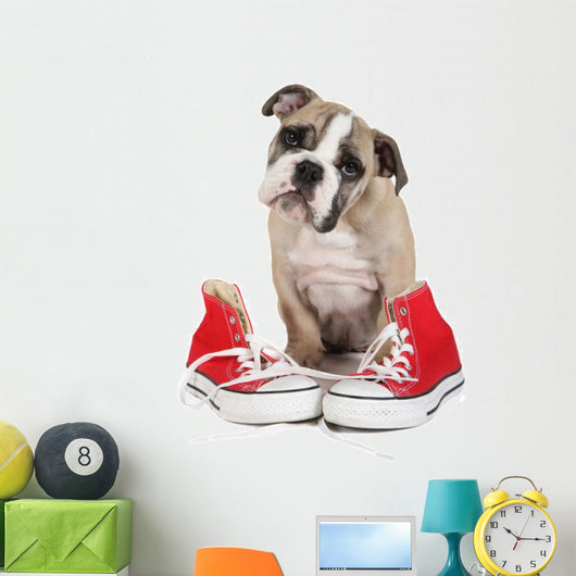 Cute Puppy with Red