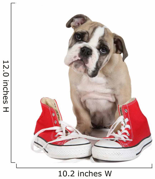 Cute Puppy with Red