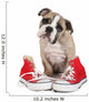 Cute Puppy with Red