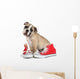Cute Puppy with Red