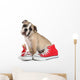 Cute Puppy with Red