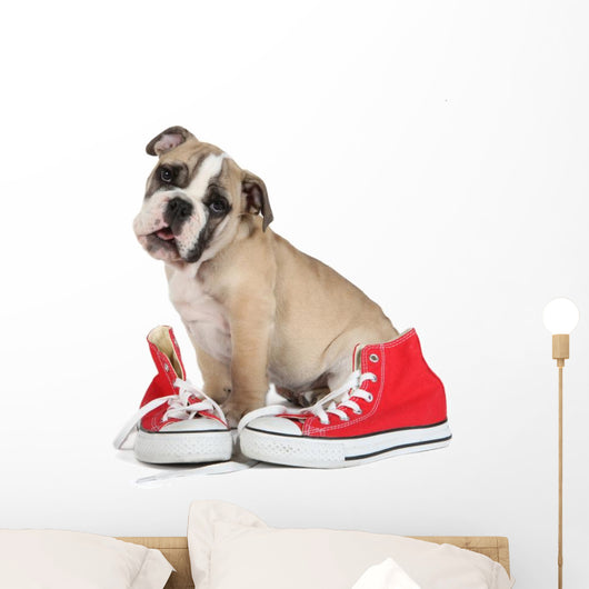 Cute Puppy with Red
