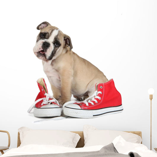 Cute Puppy with Red