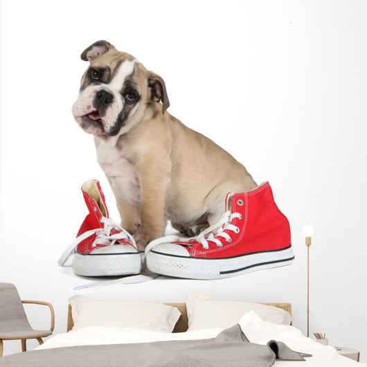 Cute Puppy with Red