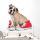 Cute Puppy with Red