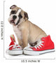 Cute Puppy with Red