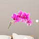 Orchid