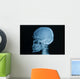 Skull X-rays Image