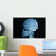 Skull X-rays Image