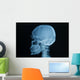 Skull X-rays Image