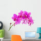 Orchid
