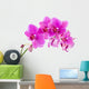 Orchid