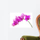 Orchid
