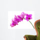 Orchid