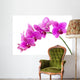 Orchid