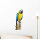 Parrot Bird Sitting Perch