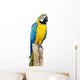 Parrot Bird Sitting Perch