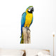 Parrot Bird Sitting Perch