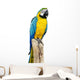Parrot Bird Sitting Perch
